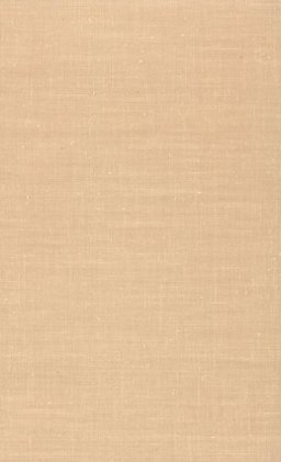 The Girl in the Cellar