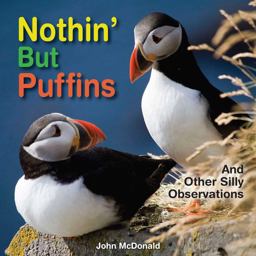 Nothin' but Puffins