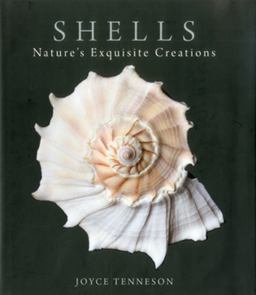 Shells Nature's Exquisite Creations  9780892729760 Front Cover