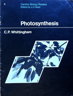 Photosynthesis