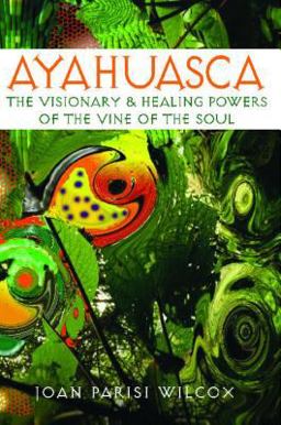 Ayahuasca The Visionary and Healing Powers of the Vine of the Soul  9780892811311 Front Cover