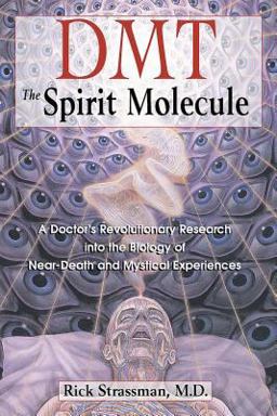 DMT: the Spirit Molecule A Doctor's Revolutionary Research into the Biology of near-Death and Mystical Experiences  9780892819270 Front Cover