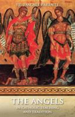 Beyond Space: A Book about the Angels  9780895555151 Front Cover