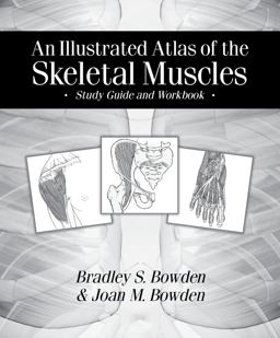Illustrated Atlas of the Skeletal Muscles Study Guide and Workbook  9780895828842 Front Cover
