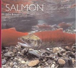 Salmon