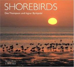 Shorebirds