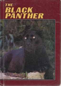 Black Panther Black Panther