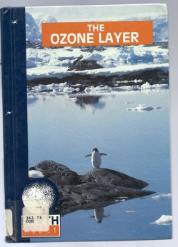 The Ozone Layer The Ozone Layer