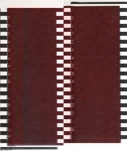 Case for Three Detectives