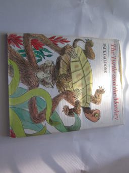 The Turtle and the Monkey