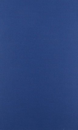 Old Yeller Old Yeller