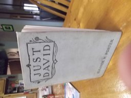 Just David Just David