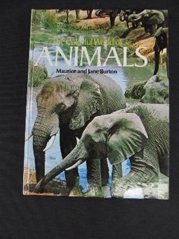 The Colourful World of Animals