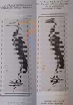 Wellesley Collection