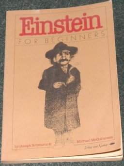 Einstein for Beginners
