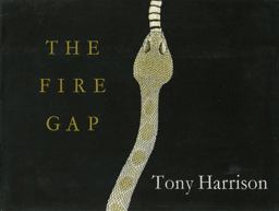 Fire Gap