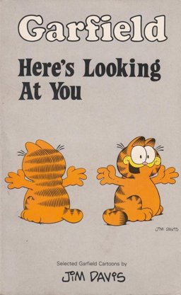 Garfield, Here's Looking at You