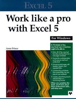 Work Like a Pro with Excel 5 for Windows
