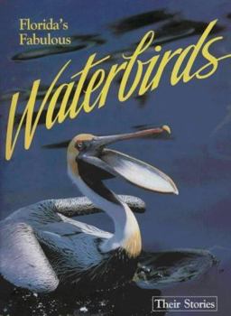 Florida's Fabulous Waterbirds : Their Stories  9780911977004 Front Cover