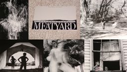 Ralph Eugene Meatyard