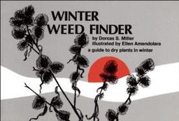 Winter Weed Finder A Guide to Dry Plants in Winter  9780912550176 Front Cover