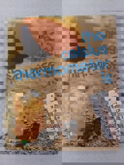 The Celsius Thermometer Is