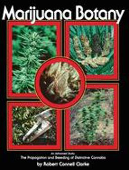 Marijuana Botany An Advanced Study: the Propagation and Breeding of Distinctive Cannabis 3rd 9780914171782 Front Cover