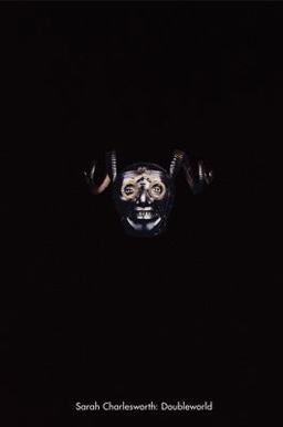 Sarah Charlesworth: Doubleworld