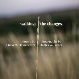 Walking the Changes