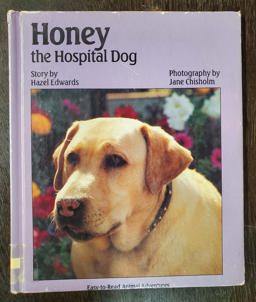 Honey the Hospital Dog