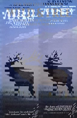 Wild and Free Wild and Free