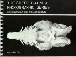 Sheep Brain 2nd 9780920700037 Front Cover