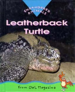 Leatherback Turtle