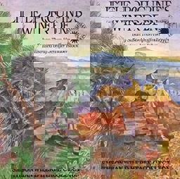 Little Porcupine's Winter Den