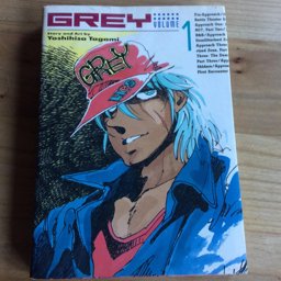 Grey, Graphic Novel