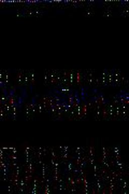 Viva la Raza A History of Chicano Identity and Resistance  9780932323286 Front Cover