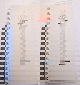 Typographic Samples, Pictures and Polemics Typographic Samples, Pictures and Polemics