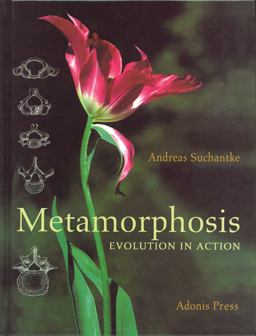 Metamorphose: Kunstgriff der Evolution  9780932776396 Front Cover