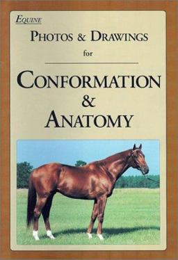 Equine Photos and Drawings for Conformation and Anatomy  9780935842135 Front Cover