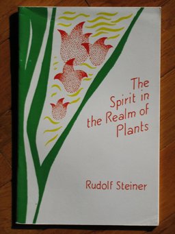 The Spirit in the Realm of Plants
