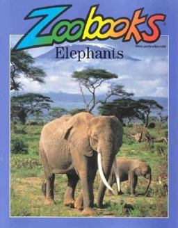 Elephants
