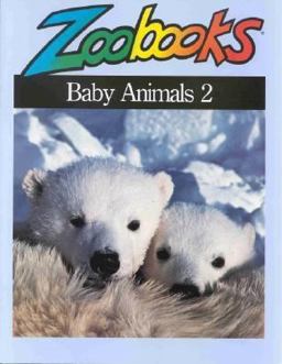Baby Animals