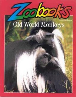 Old World Monkeys