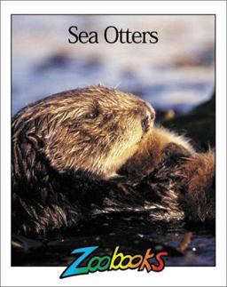 Sea Otters