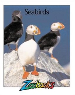 Seabirds Seabirds