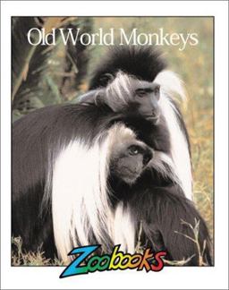 Old World Monkeys