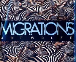 Migrations