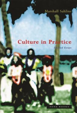 Culture in Practice Selected Essays  9780942299380 Front Cover