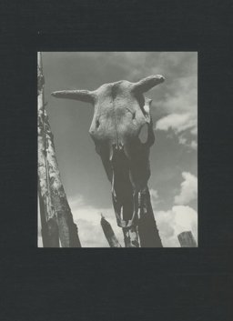 Georgia O'Keeffe Georgia O'Keeffe