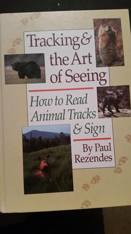 Tracking and the Art of Seeing